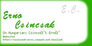 erno csincsak business card